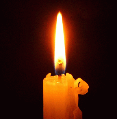 Запали свічку пам'яті | Запорізька спеціалізована школа №40
